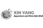 Meet Our Clients_XInyang